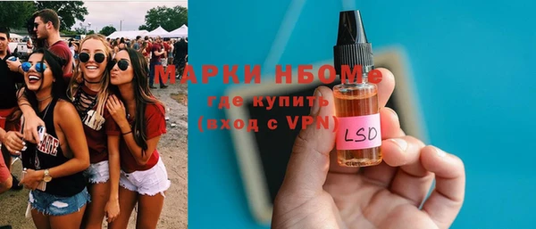 шишки Ельня