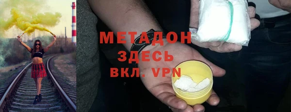 шишки Ельня