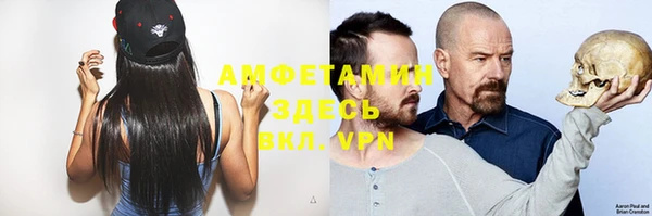меф Дмитриев
