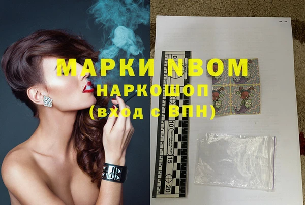 шишки Ельня