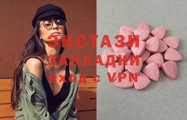 шишки Ельня