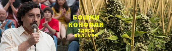меф Дмитриев