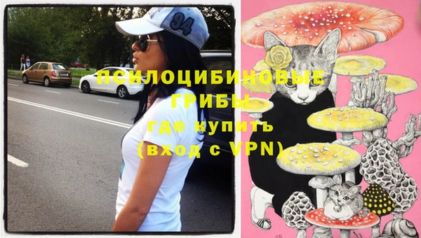 шишки Ельня